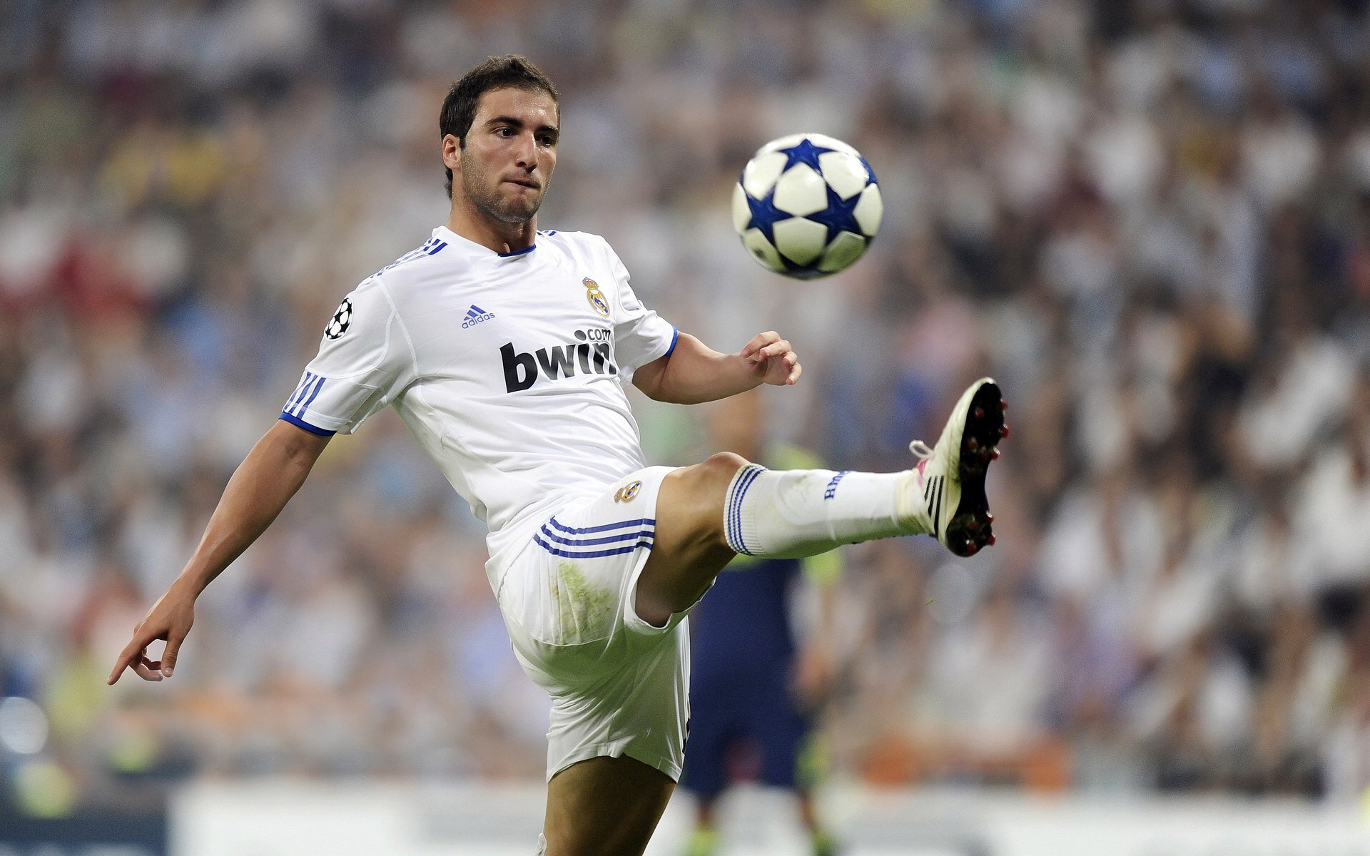 赛场内外：球员在粉丝中的人气与影响力，赛场内外英文